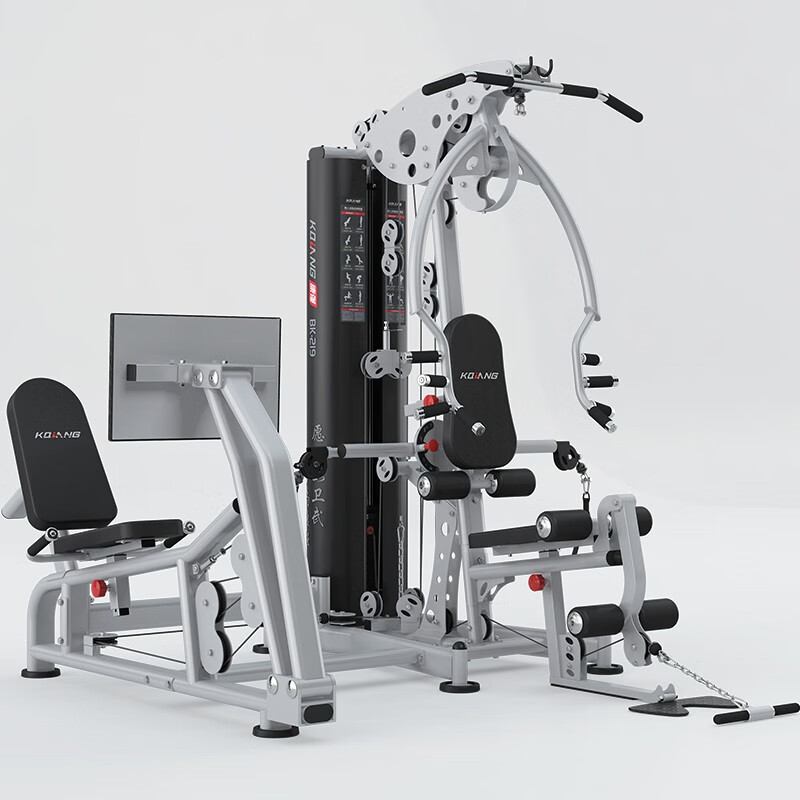 金年会 综合训练器两人站219多功能运动力量健身器材 219两人站