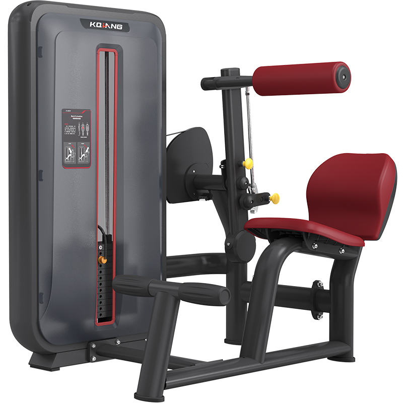 金年会6010背部伸展训练器商用健身器材健身房团购综合训练器 