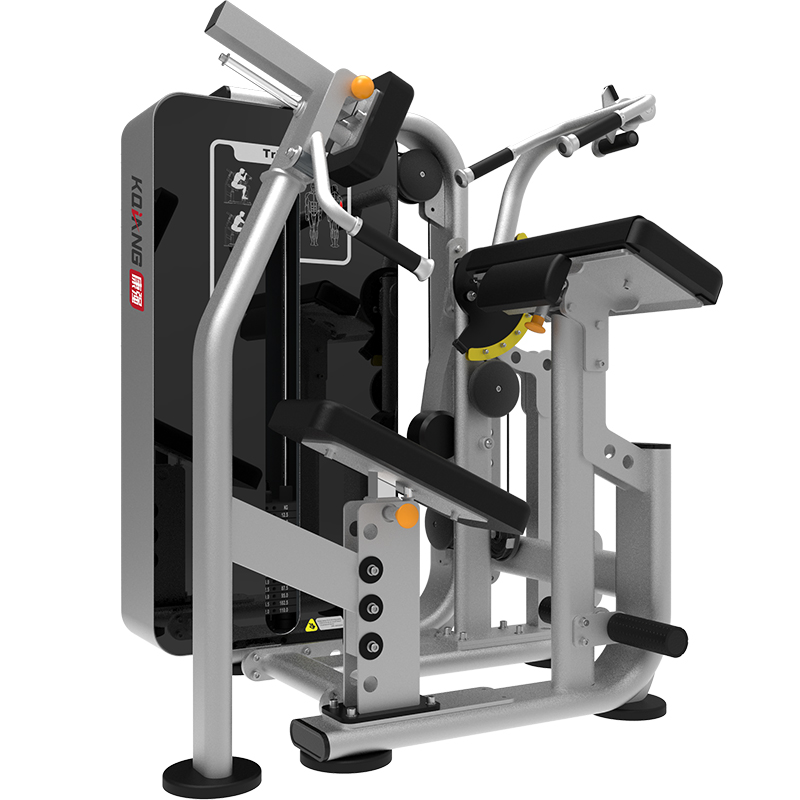 金年会GT系列综合训练器家用商用三头肌训练器GT119